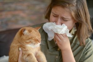 Girl With Tissue And Cat