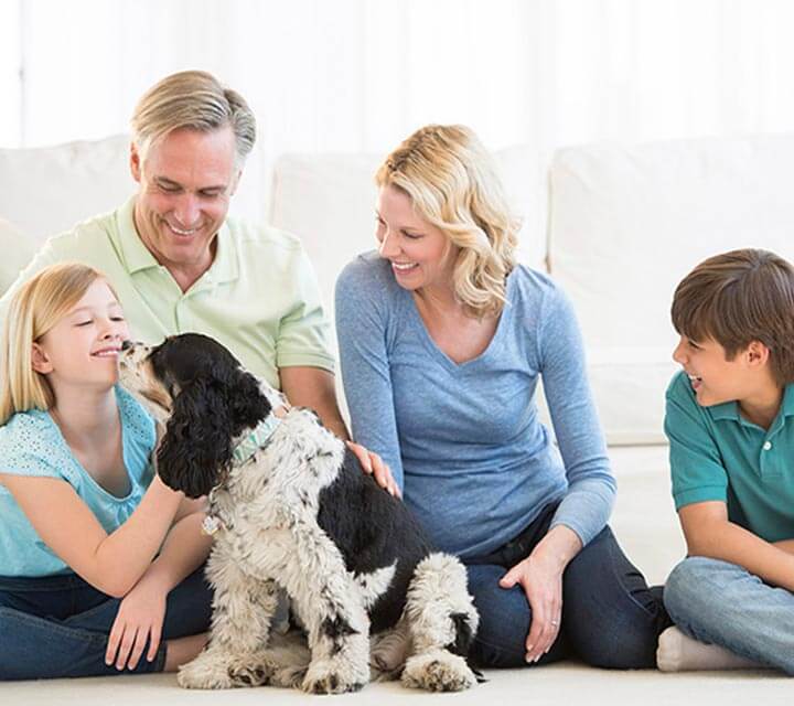 Family and their dog in the living room